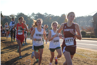 Girls cross country ‘runs wild,’ wins