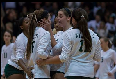 Volleyball finishes memorable season despite finals loss