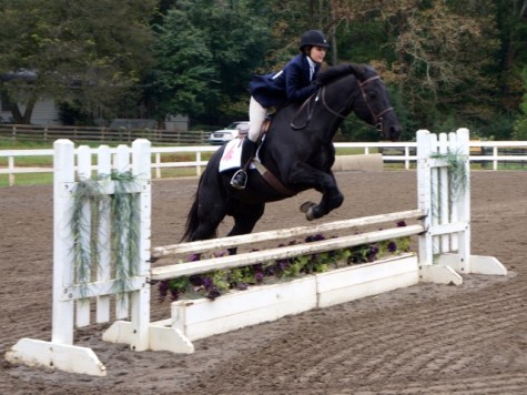 Equestrian team wows judges and Westminster community alike