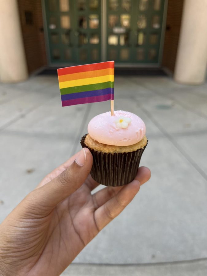 The celebration of Pride Week at Westminster. Westminster’s own pride cupcakes.