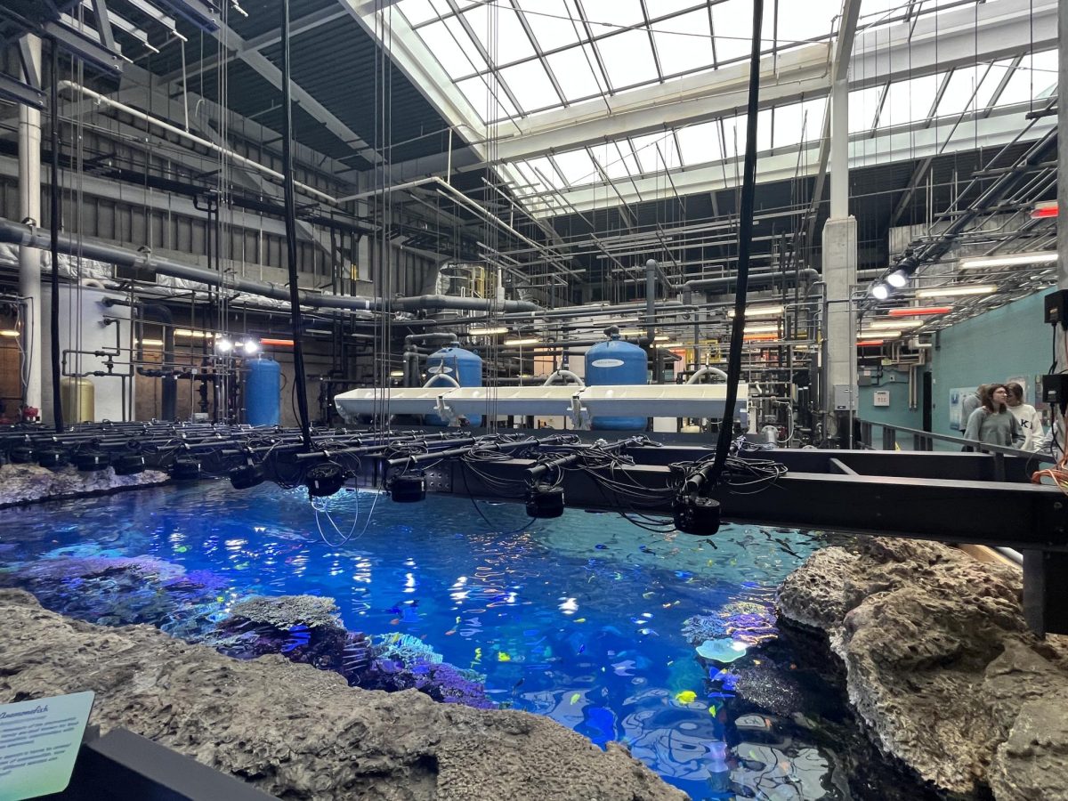 A behind the scenes view of one of Georgia Aquarium's tropical fish tanks. Off to the side Westminster Janterm students observe the mechanisms.
